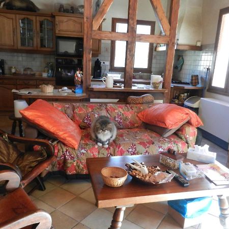 Gite Familial Fouga Bareilles エクステリア 写真